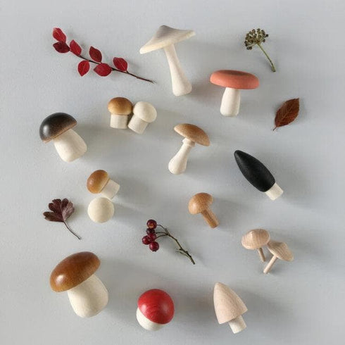Moon Picnic Wooden Forest Mushroom Set